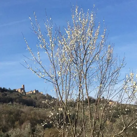 Le Canterie * Radicondoli