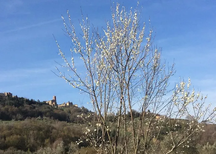 Le Canterie * Radicondoli