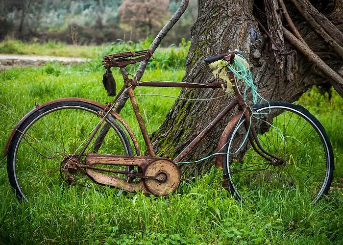 Le Canterie Фермерский дом *